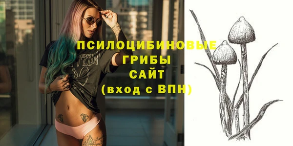 трава Гусиноозёрск