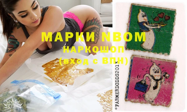 трава Гусиноозёрск