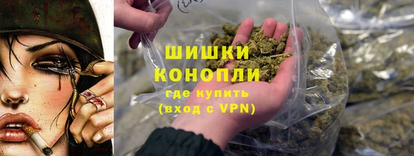 трава Гусиноозёрск