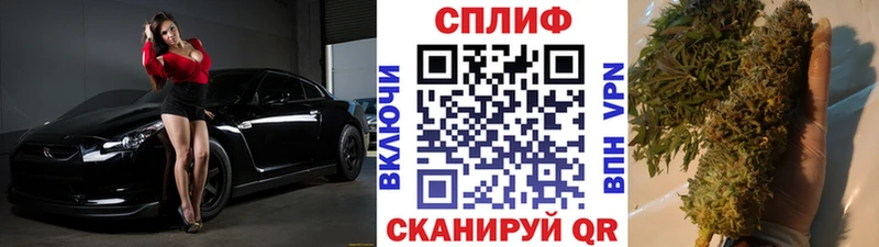 Канабис гибрид  Няндома 